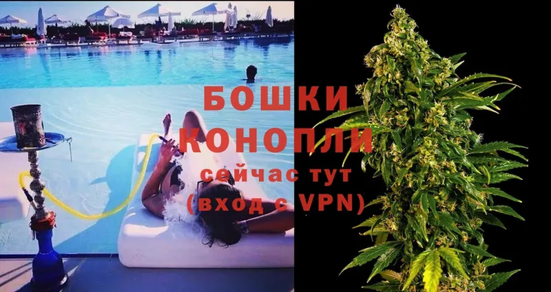 мега онион  Анива  Конопля White Widow 